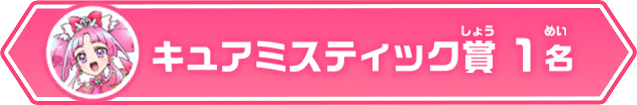 キュアミスティック賞（1名）
              